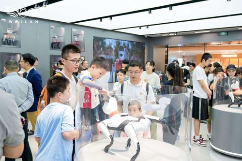 蔚藍(lán)科技發(fā)布具身智能產(chǎn)品矩陣，引領(lǐng)AI新紀(jì)元的信息技術(shù)咨詢服務(wù)革新