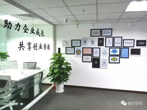 2017年高新技術(shù)企業(yè)認(rèn)定政策解讀及2018年認(rèn)定培訓(xùn)會(huì)