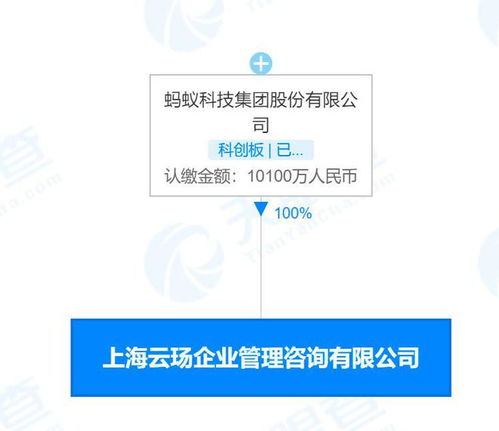 螞蟻科技新設(shè)咨詢公司，深耕企業(yè)服務(wù)與數(shù)字技術(shù)融合